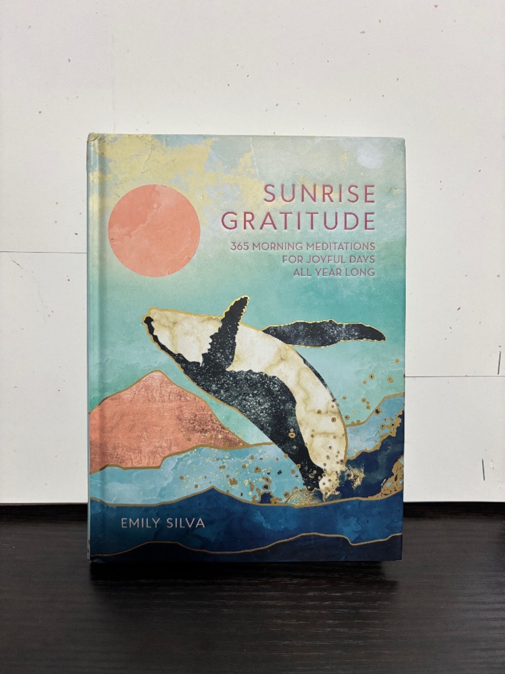 SunRise Gratitude- 365 Morning Mediations for Joyful days Book by Emily Silva